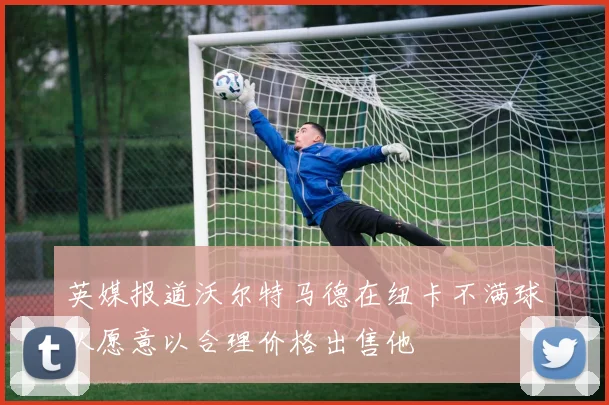 英媒报道沃尔特马德在纽卡不满球队愿意以合理价格出售他